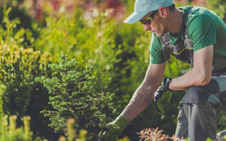 Plantation La Rochelle
