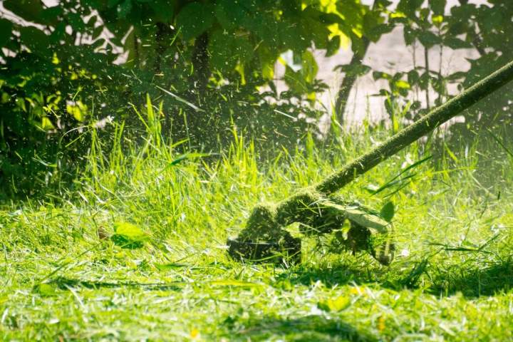 Entretien d'espace vert, scarification pelouse La Rochelle